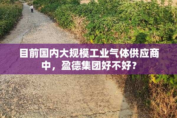 目前国内大规模工业气体供应商中，盈德集团好不好？