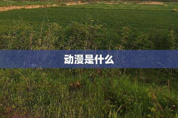 动漫是什么