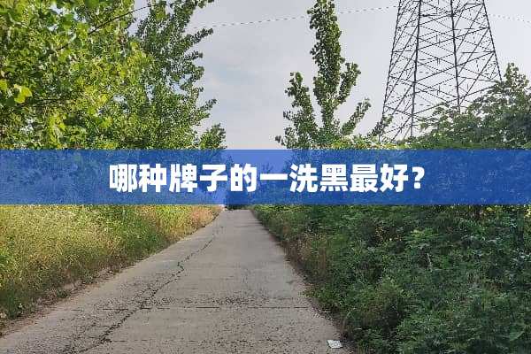 哪种牌子的一洗黑最好？
