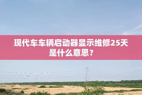 现代车车辆启动器显示维修25天是什么意思？