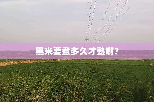 黑米要煮多久才熟啊？