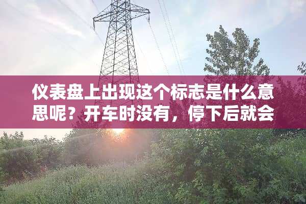 仪表盘上出现这个标志是什么意思呢？开车时没有，停下后就会出现！！