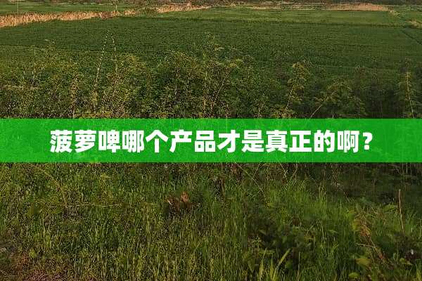 菠萝啤哪个产品才是真正的啊？