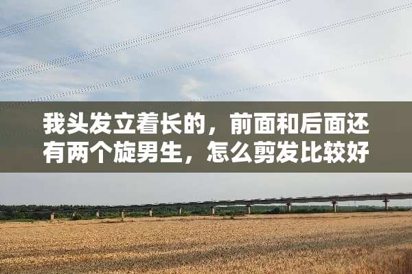 我头发立着长的，前面和后面还有两个旋男生，怎么剪发比较好？