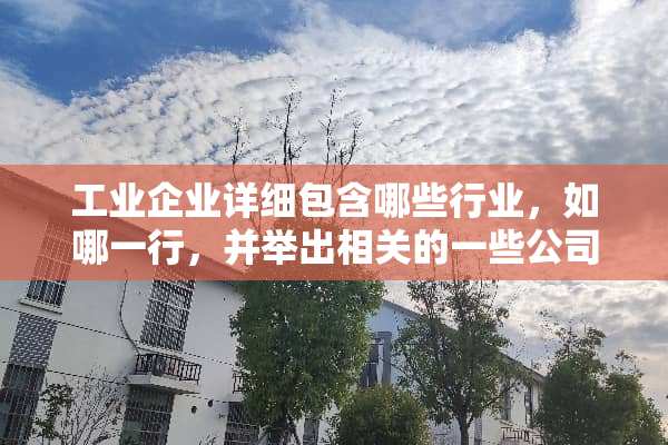 工业企业详细包含哪些行业，如哪一行，并举出相关的一些公司？