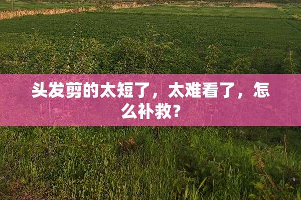头发剪的太短了，太难看了，怎么补救？