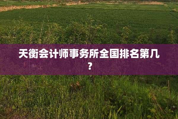 天衡会计师事务所全国排名第几？