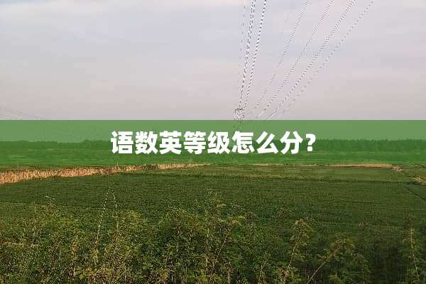 语数英等级怎么分？