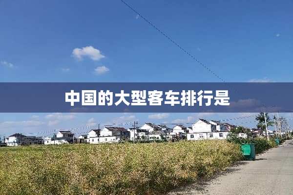 中国的大型客车排行是