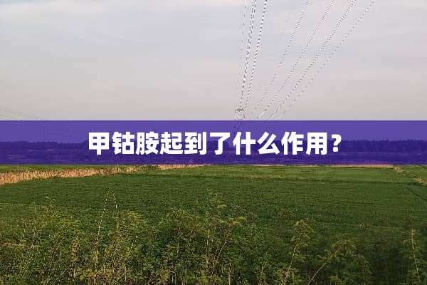 甲钴胺起到了什么作用？