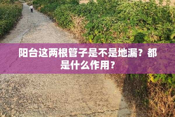 阳台这两根管子是不是地漏？都是什么作用？