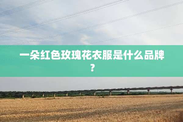 一朵红色玫瑰花衣服是什么品牌？