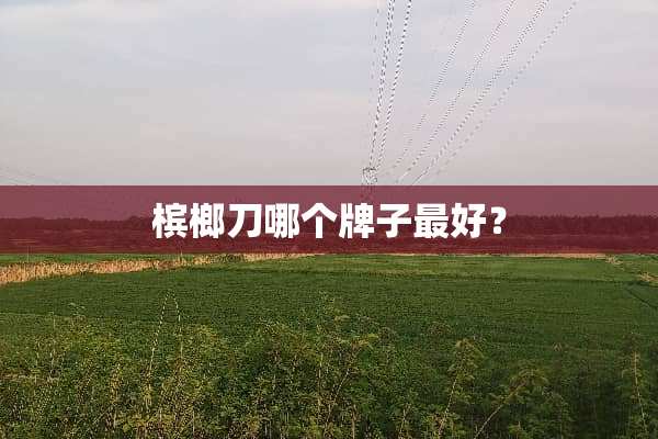 槟榔刀哪个牌子最好？