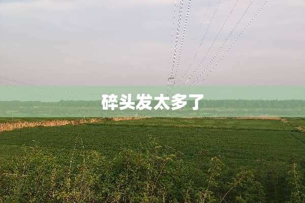 碎头发太多了