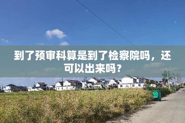 到了预审科算是到了***吗，还可以出来吗？
