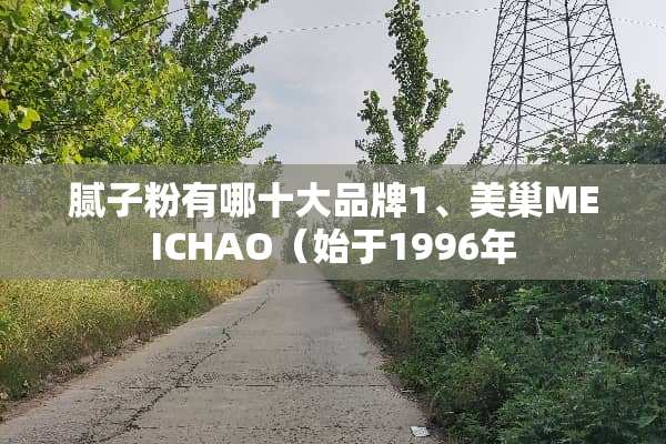 腻子粉有哪十大品牌1、美巢MEICHAO（始于1996年