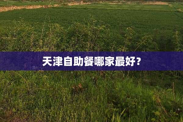 天津自助餐哪家最好？