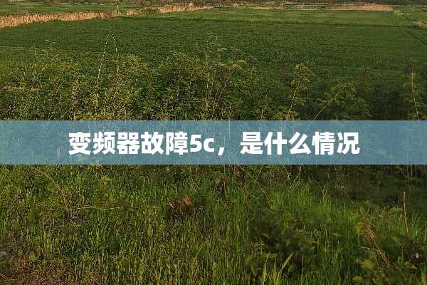 变频器故障5c，是什么情况