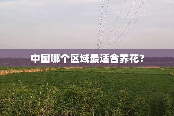 中国哪个区域最适合养花？