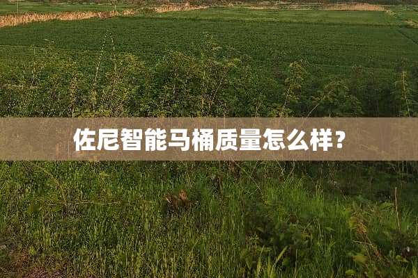 佐尼智能马桶质量怎么样？