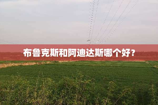 布鲁克斯和阿迪达斯哪个好？