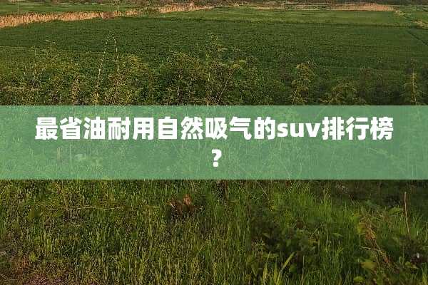 最省油耐用自然吸气的suv排行榜？