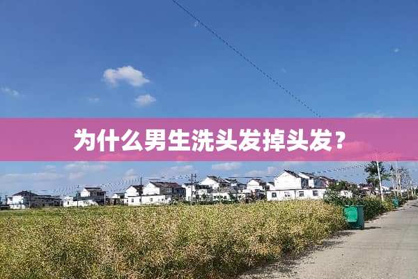 为什么男生洗头发掉头发？