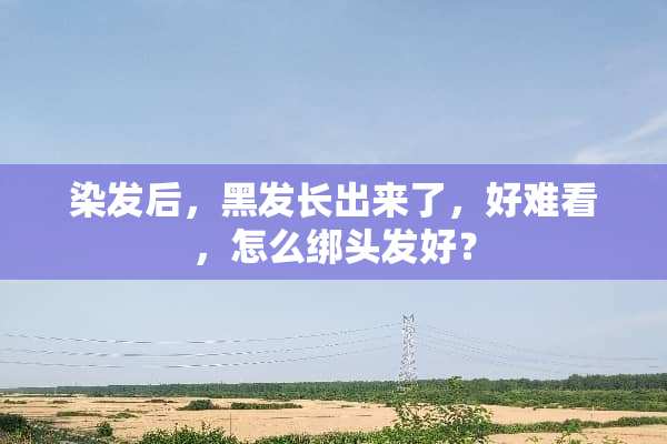 染发后，黑发长出来了，好难看，怎么绑头发好？