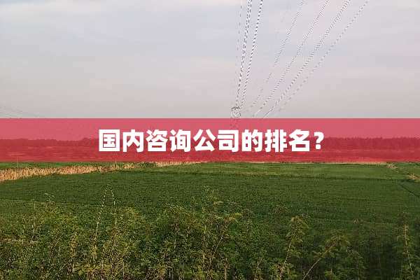 国内咨询公司的排名？