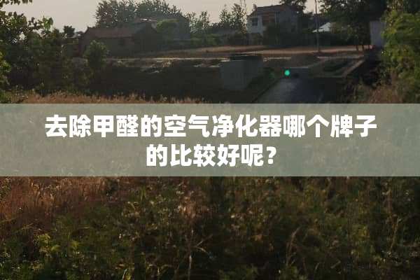 去除甲醛的空气净化器哪个牌子的比较好呢？