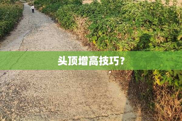 头顶增高技巧？