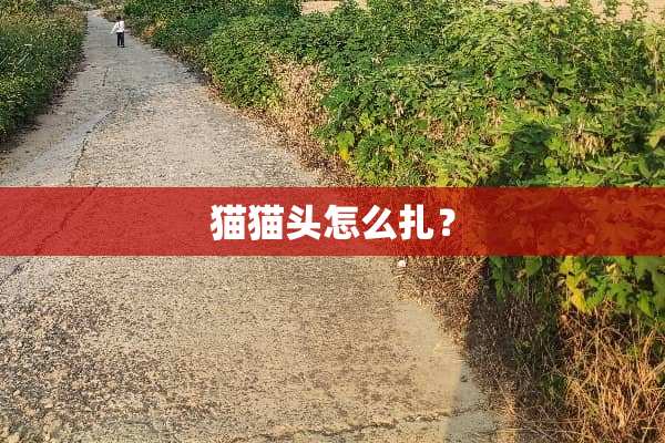 猫猫头怎么扎？