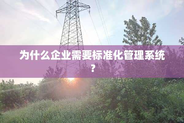 为什么企业需要标准化管理系统？