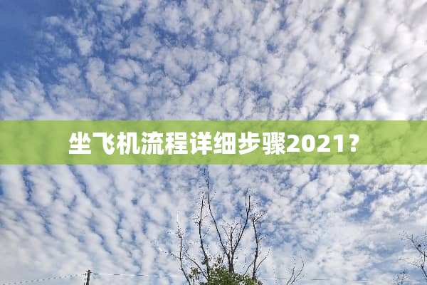 坐飞机流程详细步骤2021？