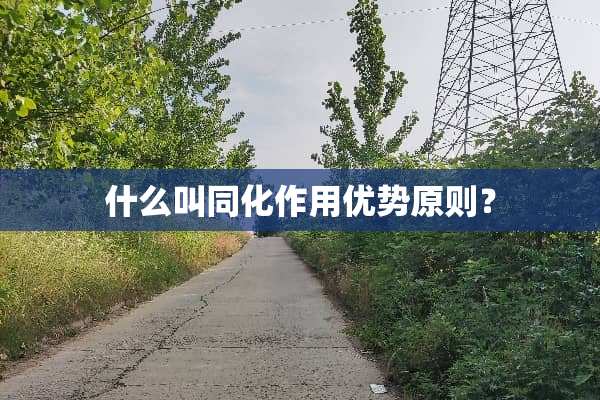 什么叫同化作用优势原则？
