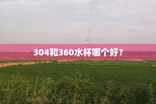 304和360水杯哪个好？
