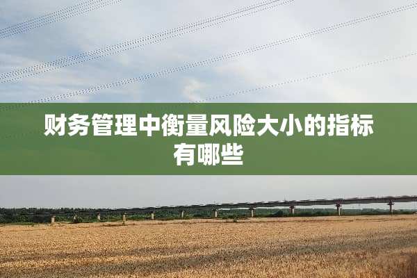 财务管理中衡量风险大小的指标有哪些
