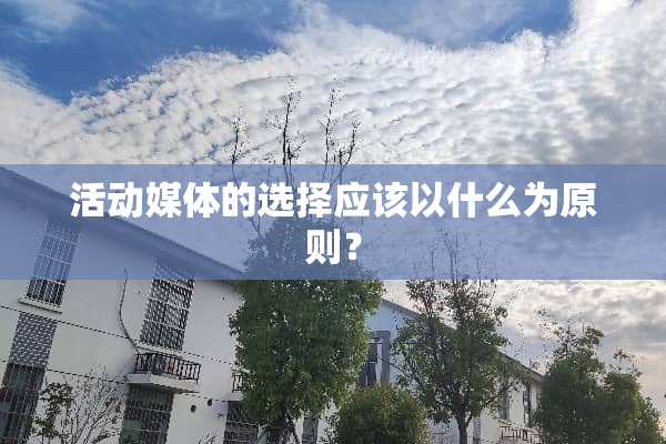 活动媒体的选择应该以什么为原则？