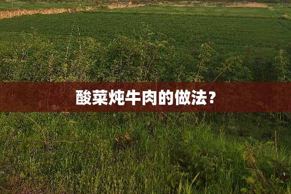 酸菜炖牛肉的做法？