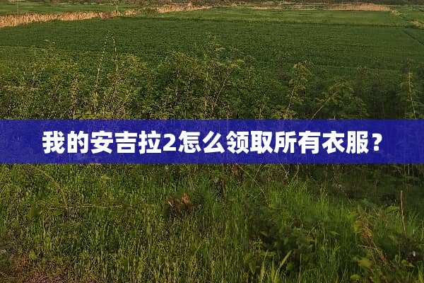 我的安吉拉2怎么领取所有衣服？