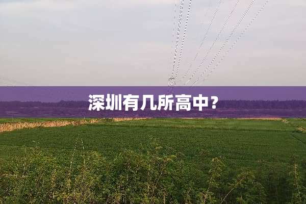 深圳有几所高中？