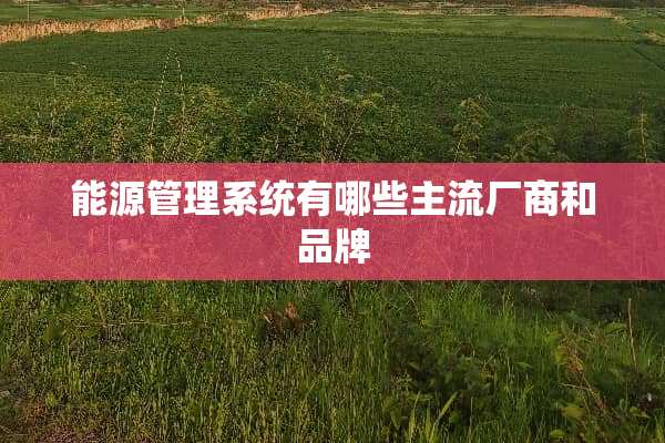 能源管理系统有哪些主流厂商和品牌