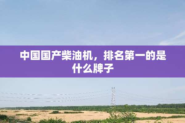 中国国产柴油机，排名第一的是什么牌子