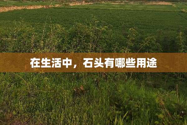 在生活中，石头有哪些用途
