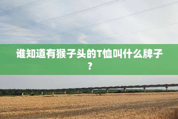 谁知道有猴子头的T恤叫什么牌子？
