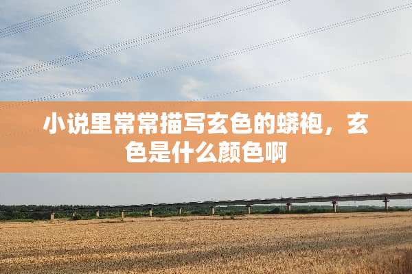 小说里常常描写玄色的蟒袍，玄色是什么颜色啊
