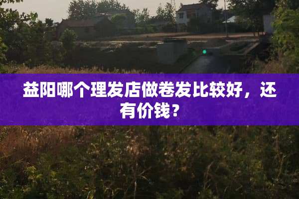 益阳哪个理发店做卷发比较好，还有价钱？