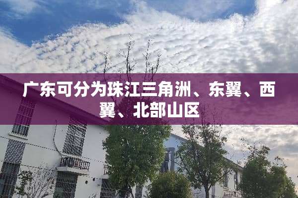 广东可分为珠江三角洲、东翼、西翼、北部山区