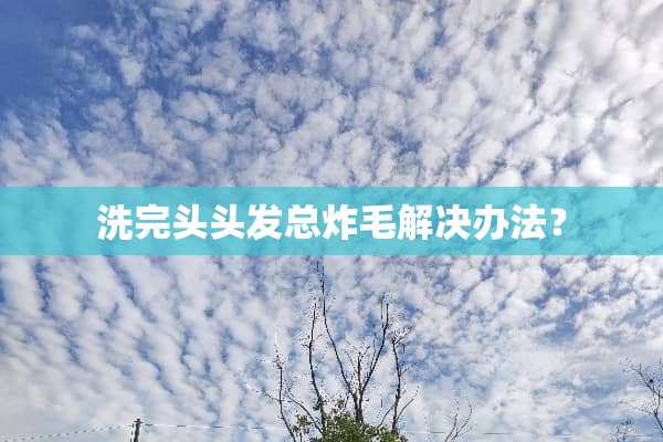洗完头头发总炸毛解决办法？