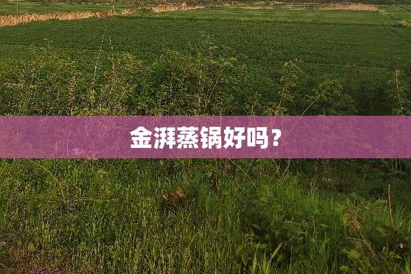 金湃蒸锅好吗？